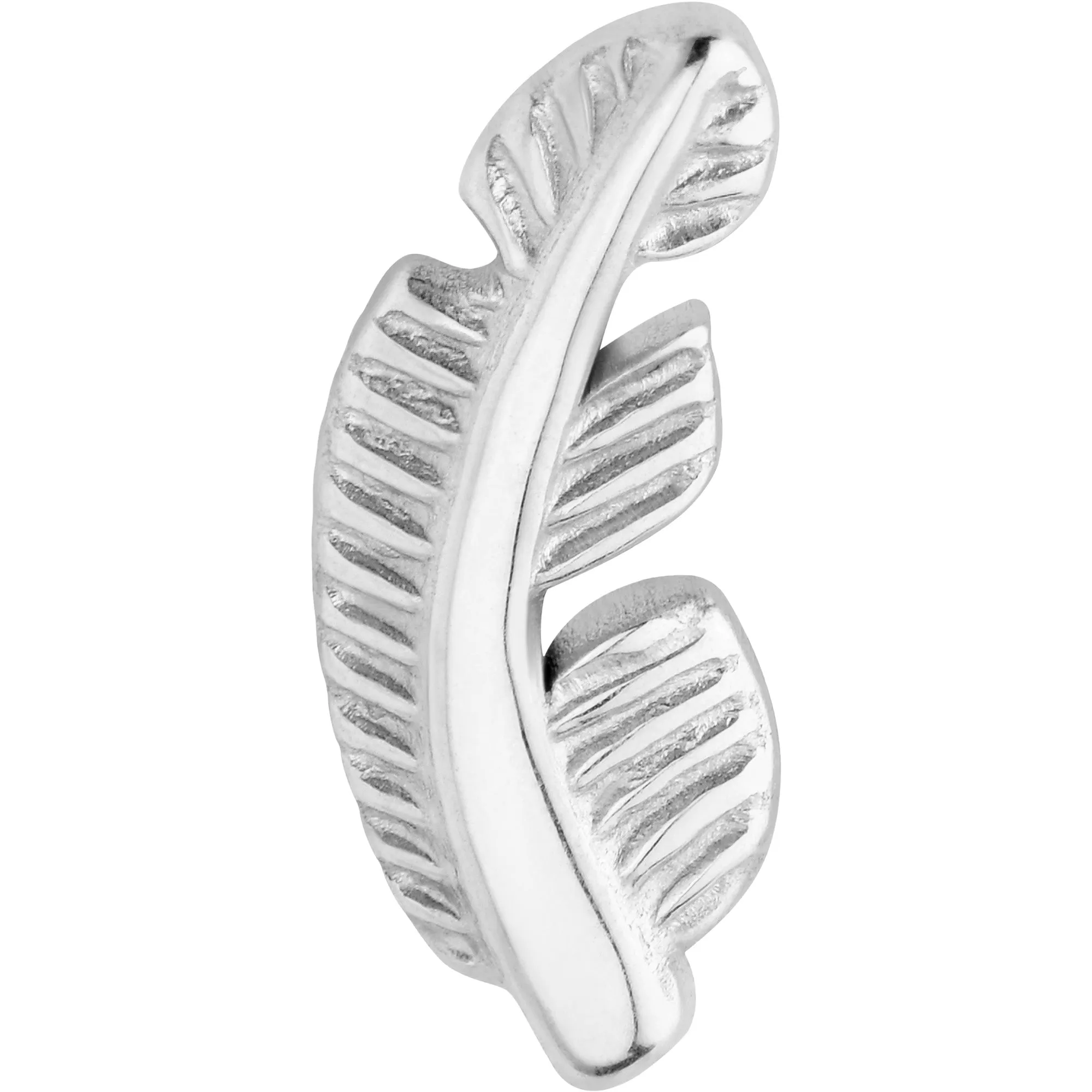 20 Gauge ASTM F-136 Implant Grade Titanium Fashion Feathers Stud Earrings