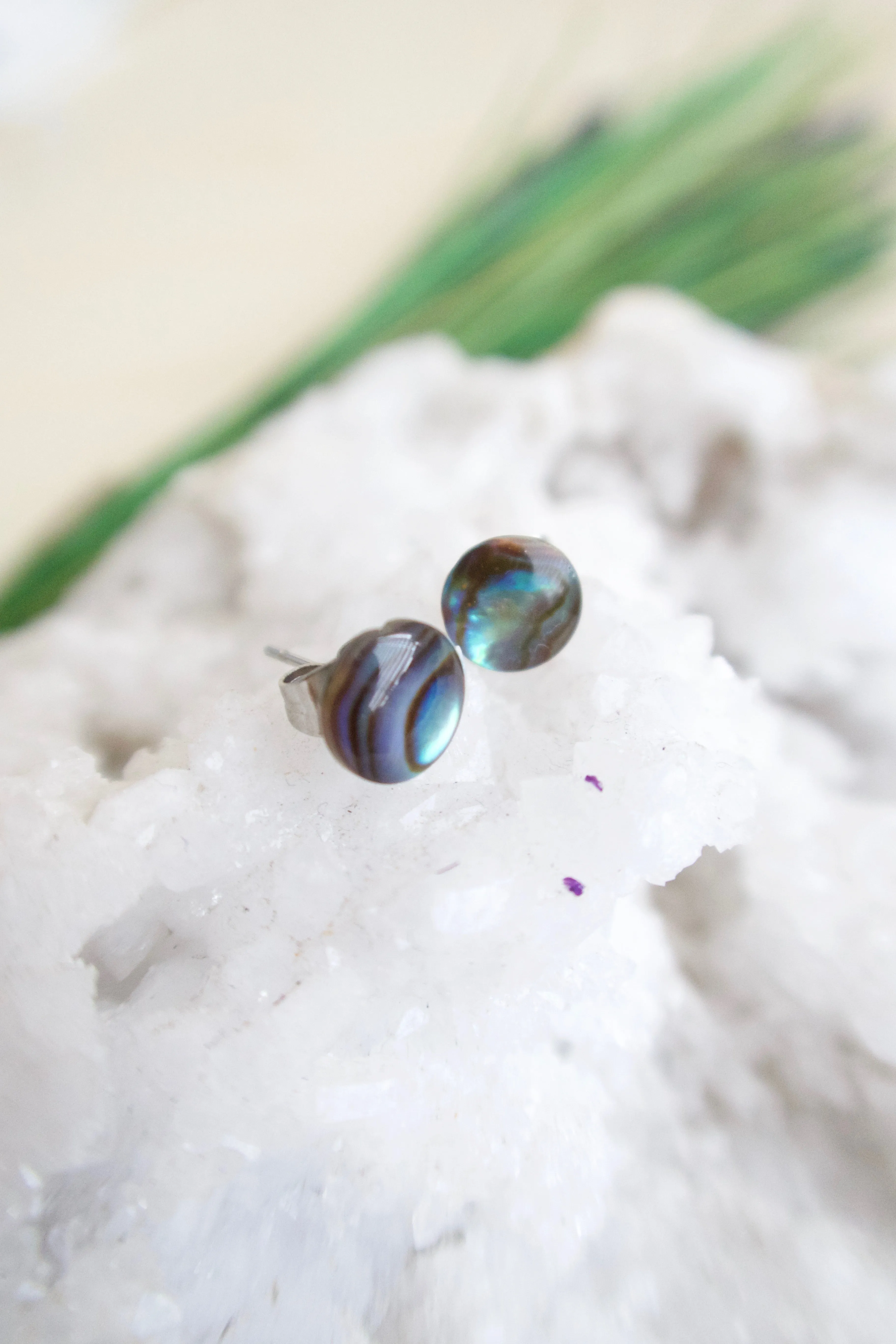 Abalone Earrings on Surgical Steel posts