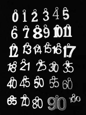 Add A NUMBER Charm Listing for Jules Obsession Expandable Bracelets