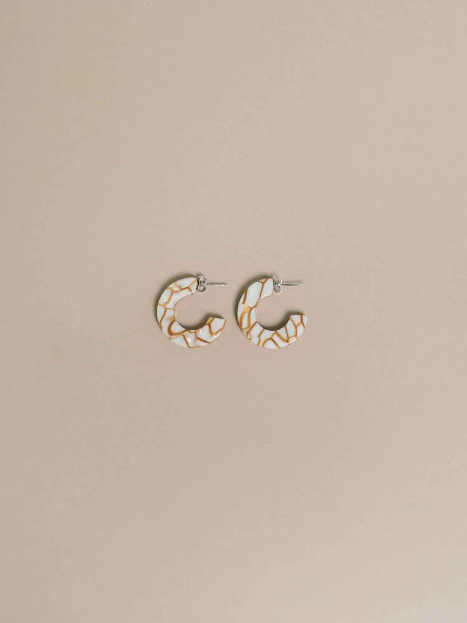 Ray Chunky Hoop Earrings, Assorted: Black   White