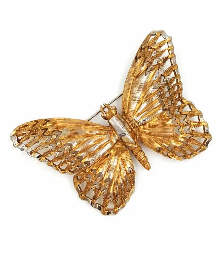 Schrager Vintage Butterfly Brooch with Amazing Details Circa 1960's