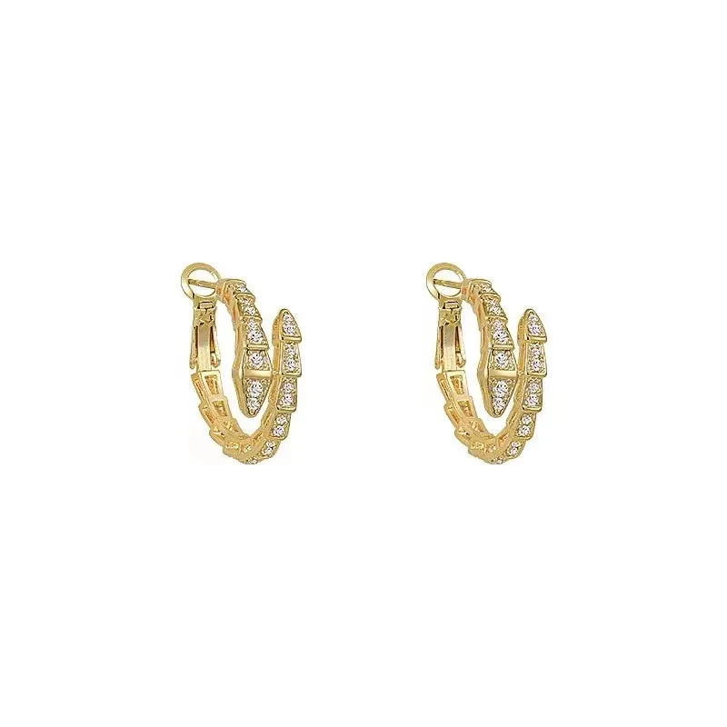 Snake Shaped Drop Earrings