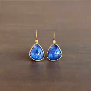 Tanzanite Pebble Drop Earrings